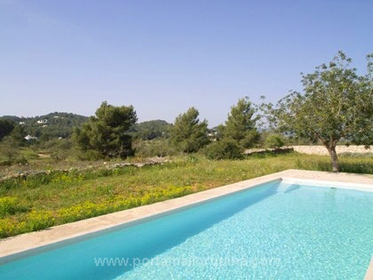 Grosser Swimmingpool